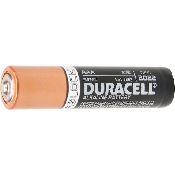 Duracell Coppertop AAA Batteries W/ Duralock Power Preserve MN2400